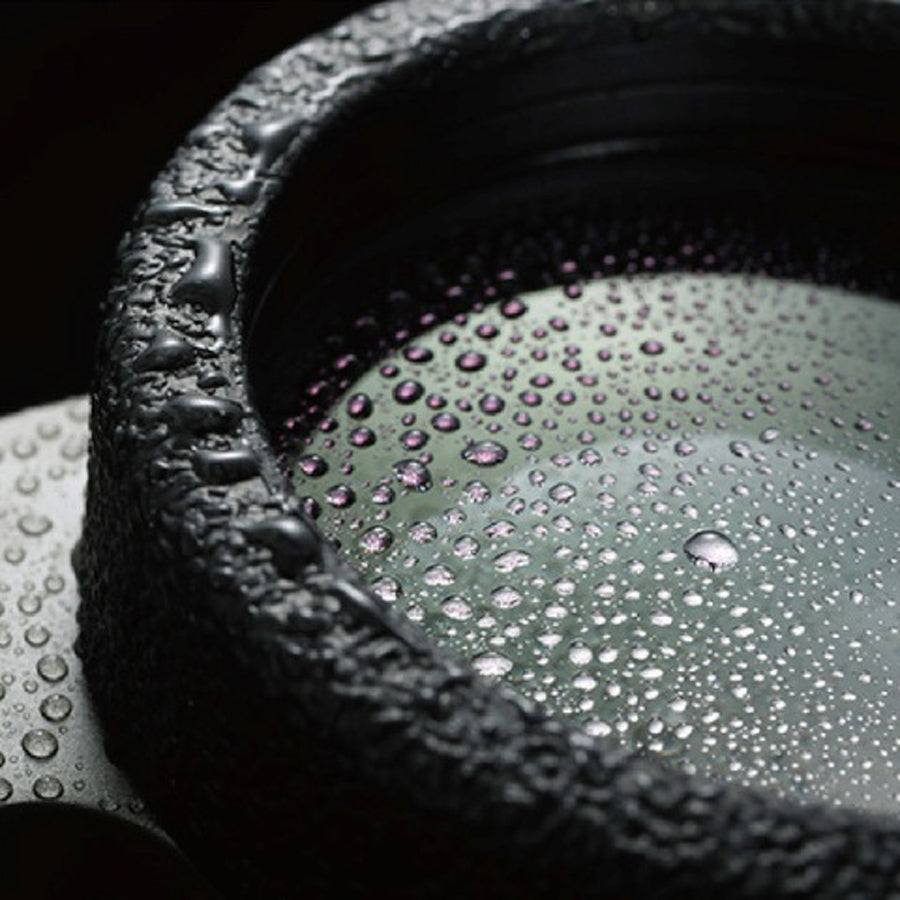 Binocolo Vanguard Endeavor ED II 10X42 