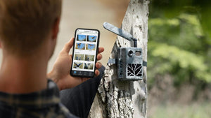 Fototrappola ZEISS Secacam 5 connessa 