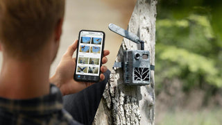 Fototrappola ZEISS Secacam 5 connessa 