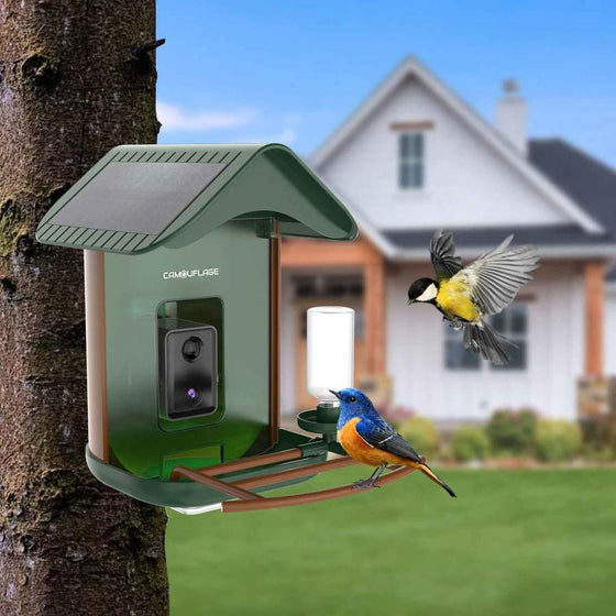 Mangiatoia per uccelli intelligente con rilevamento delle specie tramite IA 
