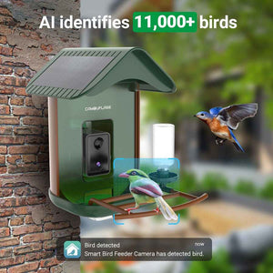 Mangiatoia per uccelli intelligente con rilevamento delle specie tramite IA 