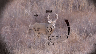 Binocolo telemetrico Bushnell FUSION X 10x42 