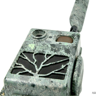 Fototrappola ZEISS Secacam 7 connessa 