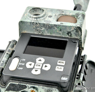 Fototrappola ZEISS Secacam 7 connessa 