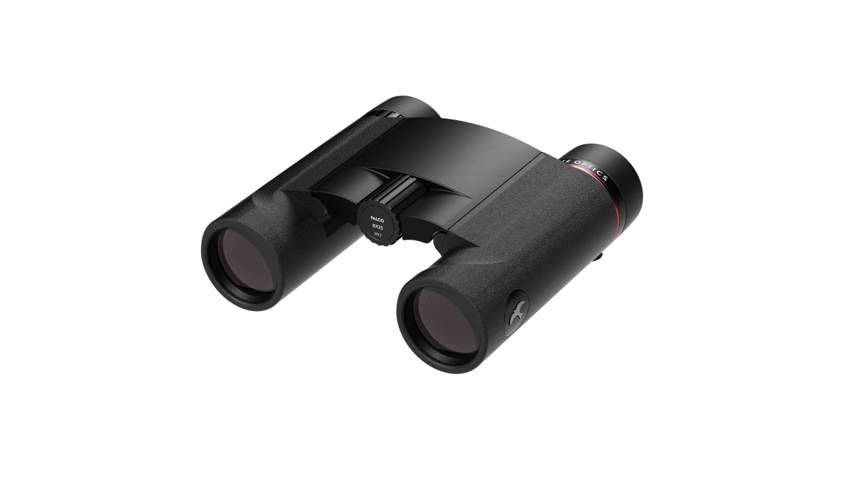 Binocolo Kite FALCO 8X25 