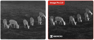 Binocoli termici HIKMICRO Habrok PRO HQ50LN 