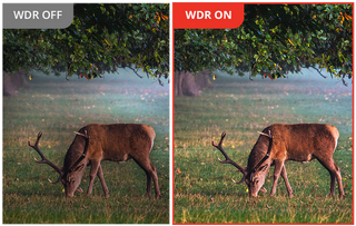 Binocoli termici HIKMICRO Habrok PRO HQ50LN 