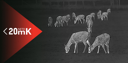 Monoculare termico Hikmicro Lynx Pro LH25 2.0 