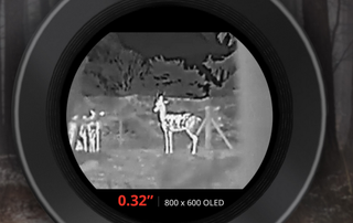 Monoculare termico Hikmicro Lynx S LE 15S 