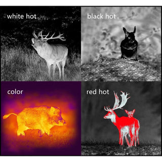 Monoculare termico Pard 25 mm - 12µm 384 x 288px Wifi 