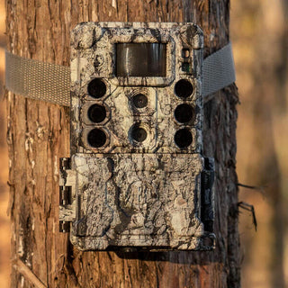 Fototrappola Bushnell Core DS 4K 32 MP Led Nera - Camo 