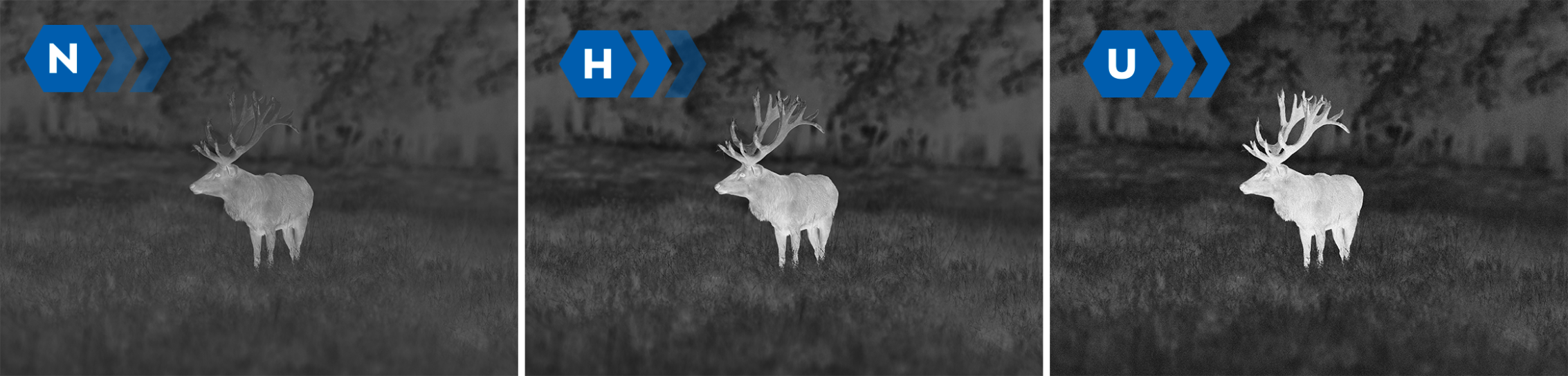 Monoculare termico PULSAR AXION XG35 compatto e connesso 