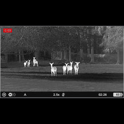 Monoculare termico PULSAR AXION XG35 compatto e connesso 