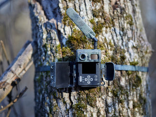 Fototrappola ZEISS Secacam 7 connessa 