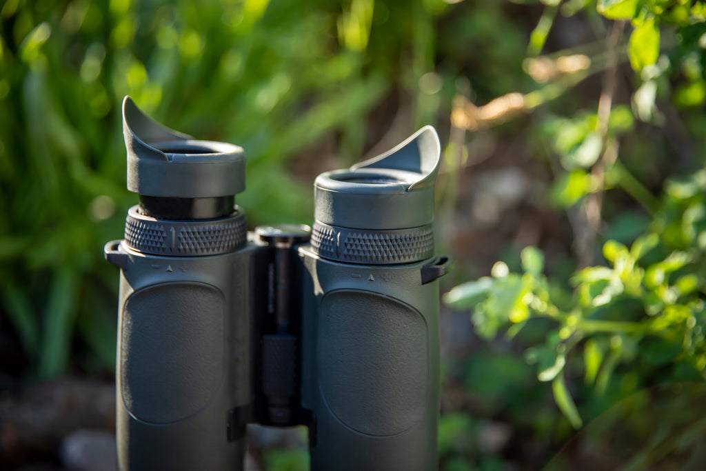 Binocolo Steiner Ranger LRF 10x42 Telemetro integrato 