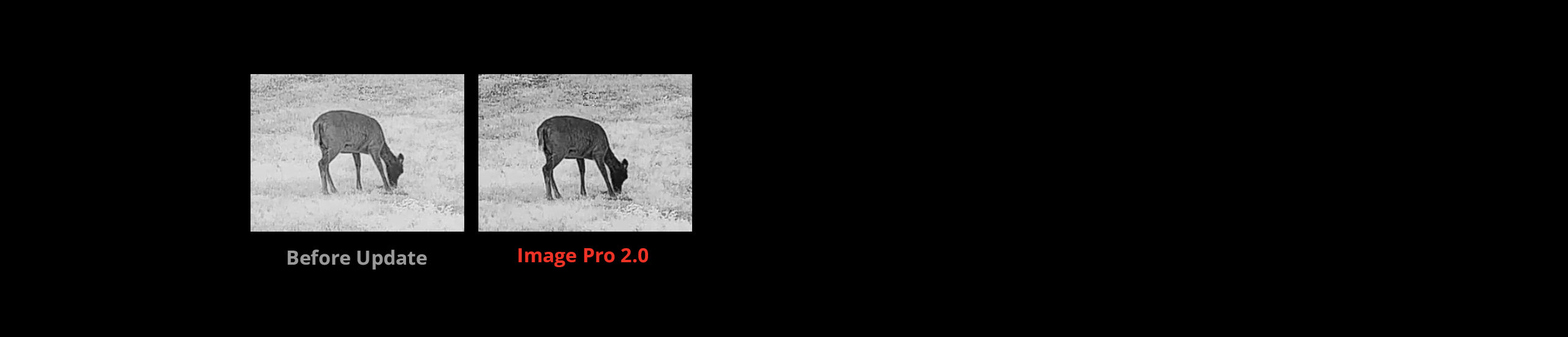 Modulo di puntamento a immagine termica (CLIP-ON) HIKMICRO THUNDER TQ35C 3.0 