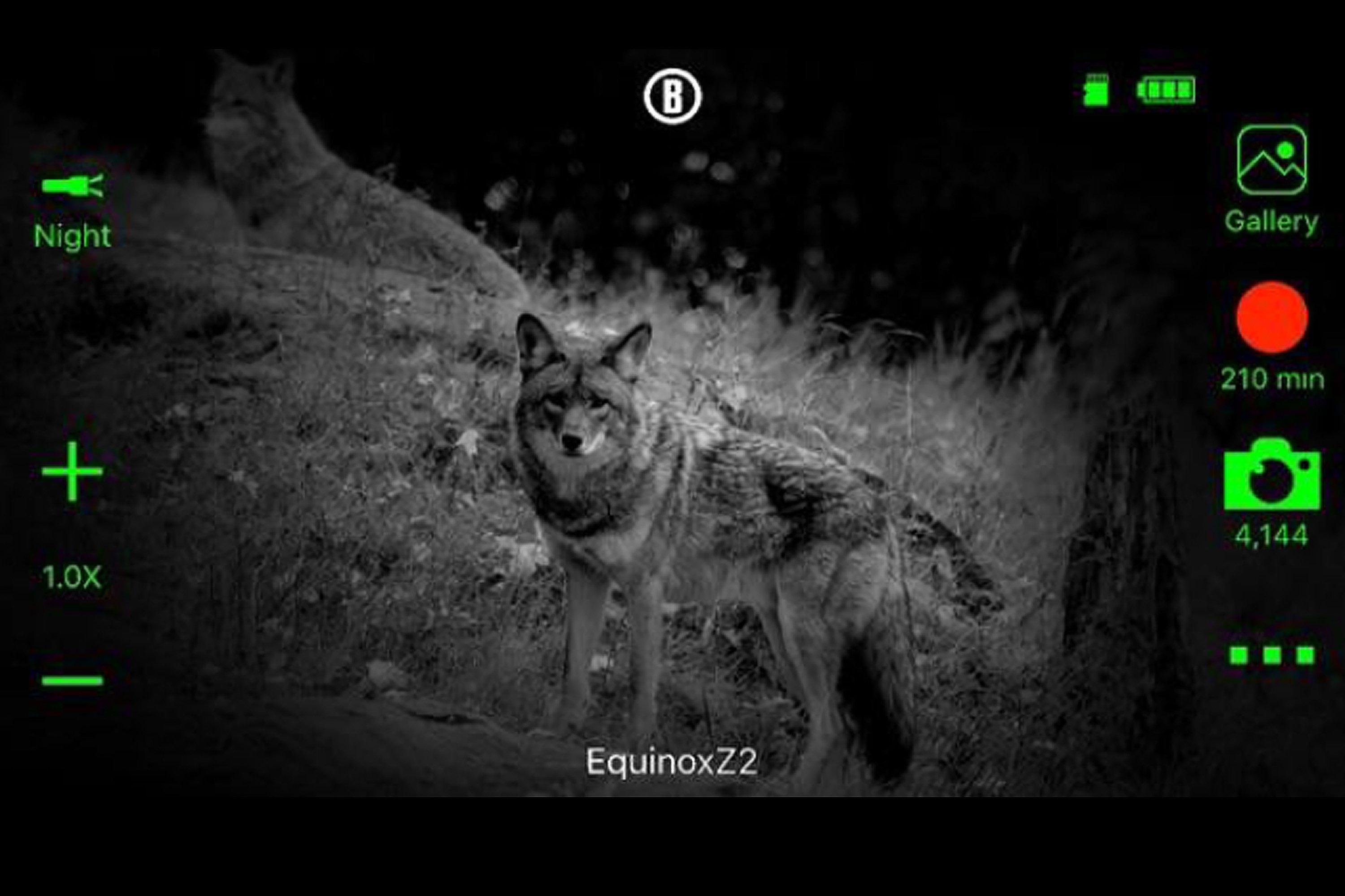 Monoculare Bushnell per visione notturna Equinox Z2 6X50 MM wifi 