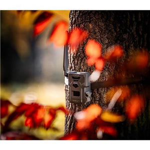 Telecamera Spypoint Flex-M Twin Pack 