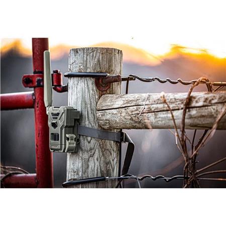 Telecamera Spypoint Flex-M Twin Pack 