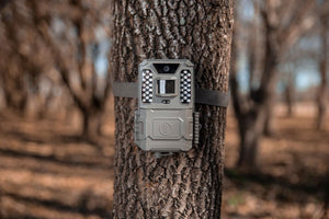 Fototrappola Bushnell Prime 24MP LED bianca 