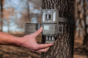 Fototrappola Bushnell Prime 24MP LED bianca 
