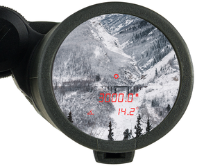 Binocolo Steiner eRanger LRF 10x42 telemetro integrato 