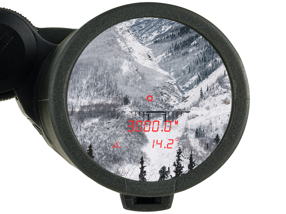 Binocolo Steiner eRanger LRF 10x42 telemetro integrato 