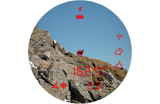 Binocolo Steiner eRanger LRF 10x42 telemetro integrato 