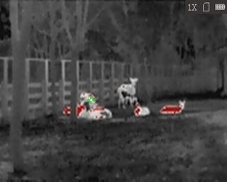 Monoculare termico HiKMICRO Lynx LC06 S connesso 