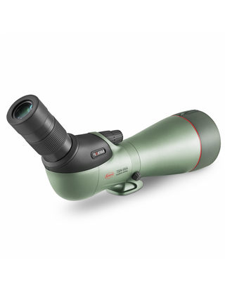 Cannocchiale Kowa TSN-99A angolato 45° con oculare TE-11WZ II 