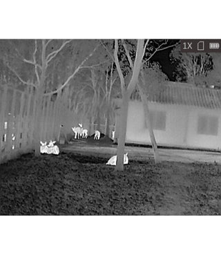 Monoculare termico Hikmicro Lynx LH15 Pro 2.0 