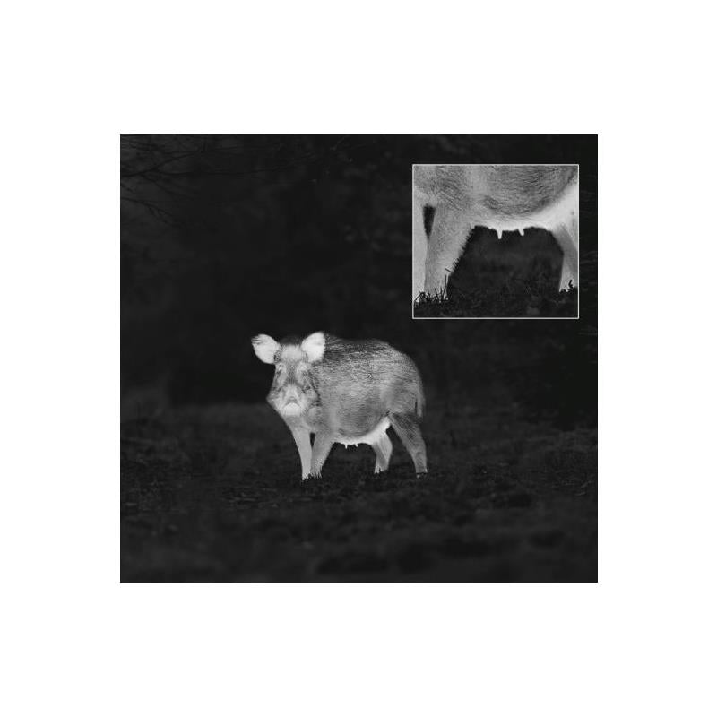 Monoculare termico ZEISS DTI 3/35 GEN 2 