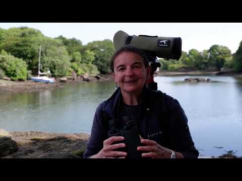 Binocoli Kite APC 12×42 stabilizzati 