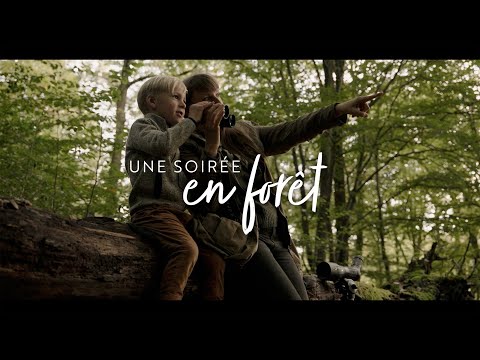 Cannocchiali Kite Optics KSP 80 HD 25-50X80 