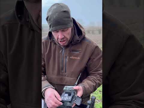 Fototrappola ZEISS Secacam 7 connessa 