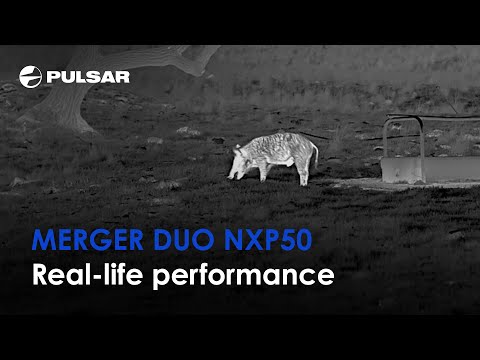 Binocoli Pulsar multi-canale con visione termica e notturna Merger DUO NXP50 