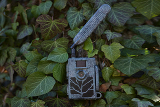 Fototrappola ZEISS Secacam 5 connessa 