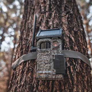 Fototrappola Spypoint FLEX Solare con trasmissione foto/video 