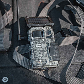 Fototrappola Spypoint FLEX Solare con trasmissione foto/video 