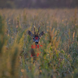 Binocoli GPO con telemetro Rangeguide 2800 8x32 