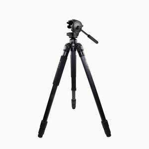 Cannocchiali Kite Optics KSP 80 HD 25-50X80 + Treppiede Ardea CF con testa Manfrotto 128 RC 