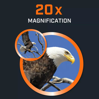 Binocoli Bushnell Powerview 2 20x50 