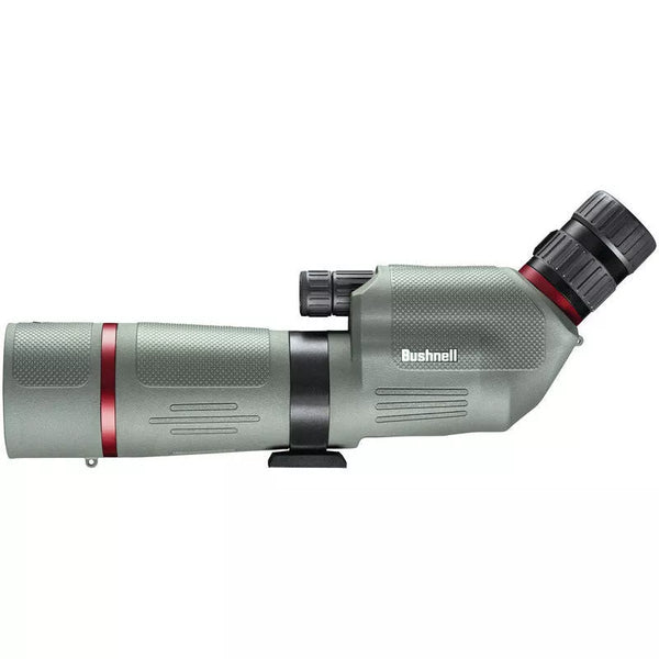 Cannocchiale angolato Bushnell Nitro 20-60x65 