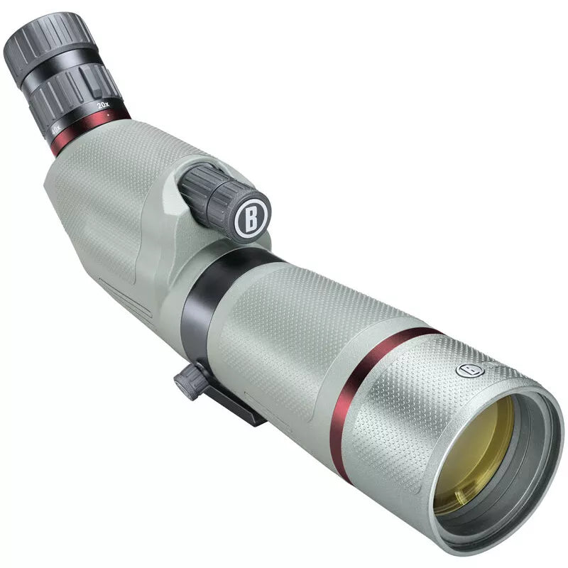 Cannocchiale angolato Bushnell Nitro 20-60x65 